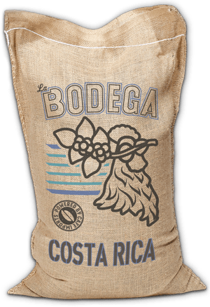 Costa Rica -Las Lajas: Microlot B24242